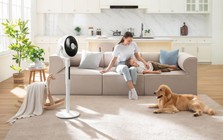 "Phá đảo" công nghệ làm mát với động cơ siêu êm của quạt tuần hoàn không khí Levoit CirculAir 22.9cm