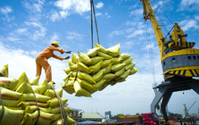 Một mặt hàng 'tỷ đô' của Việt Nam đón tin cực vui từ Philippines và Trung Quốc - triển vọng mang về 5 tỷ USD