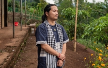 Bộ Công an: Dự án "Nuôi em" không có dấu hiệu của tội phạm