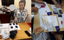 Khám xét khẩn cấp chỗ ở, bắt giữ Nguyễn Hoàng Anh