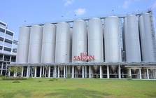 Sabeco báo lãi quý I/2026 tăng 56% so với cùng kỳ, chốt ngày chi hơn 3.800 tỷ đồng trả cổ tức