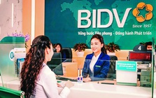 Nghị quyết 79-NQ/TW: Mở không gian cho ngân hàng thương mại Nhà nước vươn tầm