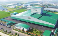 Greenfeed Việt Nam lãi ròng hơn 3.650 tỷ đồng trong năm 2025