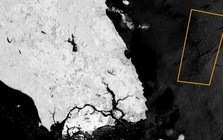 Phát hiện một loạt tàu chở dầu đột ngột dừng tại vùng biển Đông Nam Á, tắt tín hiệu rồi bật lại, bí mật làm một việc cho Iran