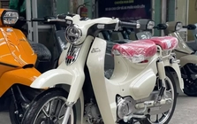 Honda Super Cub bản đặc biệt rao bán giá gấp đôi SH125i