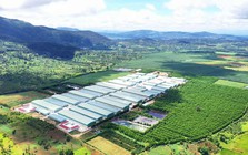 Ngân hàng đồng hành thúc đẩy kinh tế địa phương, ưu tiên phát triển bền vững