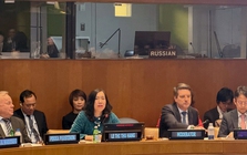 Việt Nam chủ trì tọa đàm về năng lượng hạt nhân tại Liên hợp quốc