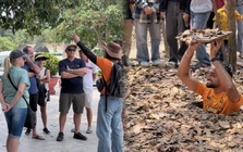 Khách Tây chăm chú nghe lịch sử tại Địa đạo Củ Chi ngày 30/4