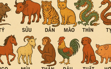 Càng lớn tuổi càng an nhàn: 4 con giáp có tài chính ổn định, hậu vận hạnh phúc và ít áp lực tiền bạc