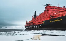 Nga cử "pháo đài công nghệ" đi dọc tuyến đường biển phía Bắc, mục đích của chuyến đi là gì?