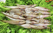 Nghiên cứu ĐH Harvard: 1 LOẠI cá siêu tốt, giúp giảm 31% nguy cơ ung thư đại trực tràng, Việt Nam rất sẵn và rẻ nhưng ít nhà ăn