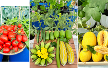 Sự thật về người phụ nữ Đồng Nai nhiều năm "không bước chân ra chợ", bí mật nằm ở tầng 3