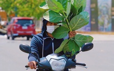 Nam Bộ hứng nắng nóng gay gắt trong tháng 4, có nơi chạm ngưỡng 39°C