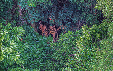 Bộ tộc biệt lập nhất ở Amazon khiến thế giới ngỡ ngàng với hình ảnh người trẻ dùng smartphone nhoay nhoáy