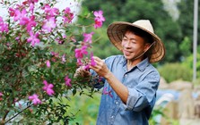 'Ông hoàng nhạc đỏ' sống kín tiếng tuổi xế chiều, ở nhà vườn hơn 10.000m2