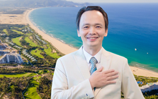 Ngay sau khi Chủ tịch Trịnh Văn Quyết tái xuất, FLC lập tức rầm rộ tuyển dụng tại loạt dự án trọng điểm trên cả nước