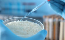 Siêu vật liệu từ gạo hứa hẹn cách mạng hóa công nghệ robot