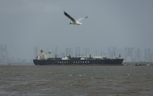 Được xét không thù địch, 2 tàu chở khí đốt treo cờ 1 nước châu Á ‘ung dung’ vượt eo biển Hormuz, nâng tổng số lên 8 tàu an toàn về nước