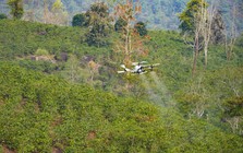 FPT thử nghiệm UAV, khai mở "kho báu" 10 tỷ USD của Việt Nam