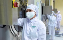 Traphaco đặt kế hoạch 306 tỷ lợi nhuận sau thuế trong năm 2026, tăng 10%