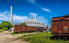 Từ 'Số 1 thế giới' đến phụ thuộc hàng nhập khẩu: Cuba tìm cách hồi sinh ngành công nghiệp xương sống