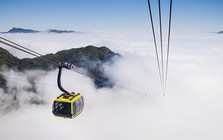 Cáp treo Fansipan Sa Pa báo lãi gần 29 tỷ đồng trong năm 2025
