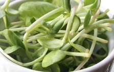 3 loại rau người Việt nên trồng trong nhà: Dễ chăm, nhanh thu hoạch, tốt cho sức khỏe