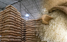 Hoa Kỳ đang bán gạo khắp châu Á: Hàn Quốc chốt đơn 11.000 tấn, Indonesia nhập 1.000 tấn - nguồn gạo từ đâu ra?