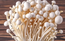 6 loại rau "ngậm" nhiều thuốc trừ sâu nhất chợ, phải lựa thật kỹ khi mua: Toàn món quen thuộc của người Việt