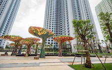 Việt Hân củng cố nền tảng tài chính, giảm áp lực đòn bẩy