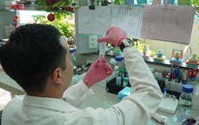 Trường y lớn nhất TPHCM không sử dụng điểm bảo lưu, học phí chạm mốc 90 triệu đồng/năm