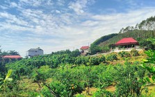 Loại đất và hạn mức công nhận đất ở sau sáp nhập