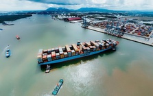 Nhiều dự án cảng biển tại TPHCM chưa kịp khởi công dịp 30-4-2026