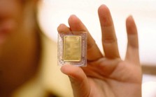 Phát hiện 10 triệu đồng, ngoại tệ cùng miếng vàng 9999 bị bỏ lại bên đường quốc lộ