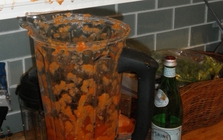 Cảnh báo đặc biệt tới những gia đình đang dùng máy xay sinh tố