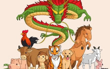 Chuyên gia dự báo: 4 con giáp này càng lớn tuổi càng vượng tài, hậu vận giàu ổn định, sự nghiệp thăng hoa rõ rệt