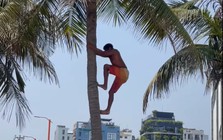 Khách Tây leo dừa thoăn thoắt ngay biển Đà Nẵng, kỹ năng khiến người Việt cũng phải chào thua