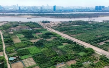 Hà Nội: Quy định chi tiết công trình được xây dựng trên đất nông nghiệp khu vực bãi sông