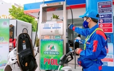 PVOIL sẵn sàng triển khai kinh doanh xăng sinh học E10 trên toàn quốc từ giữa tháng 5/2026