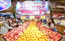 Sinh nhật 30 năm, Saigon Co.op tung thêm ưu đãi đón cao điểm lễ 30/4 – 01/5
