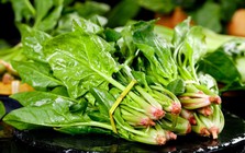 Cảnh báo: Thực phẩm chứa axit oxalic gấp 3 lần rau bina, ăn nhiều có thể gây hại sức khỏe