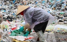 Đề xuất về quản lý thuế liên quan đến người mua ve chai, phế liệu