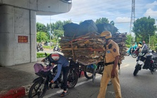 Lỗi vi phạm giao thông nào được đề xuất bỏ tịch thu, tạm giữ xe