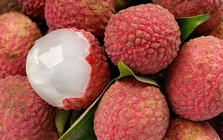 Lời khuyên cho những người thích ăn vải