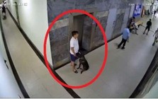Bị nhắc đeo rọ mõm, chủ chó đánh gục thành viên ban quản trị chung cư