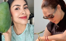 Tăng Thanh Hà, Mỹ Tâm đua nhau trồng 1 loại cây cho quả lúc lỉu: Ngon, sạch chẳng lo thuốc trừ sâu còn xóa nhăn da