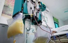 Người đàn ông 44 tuổi máu chuyển "trắng như sữa", nguy kịch vì 1 loại thịt và 1 đồ uống nhiều người mê mỗi mùa hè