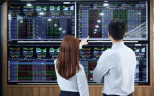 Tiền lớn chọn lọc, chuyên gia chỉ tên nhóm cổ phiếu xếp hạng cao trên thị trường
