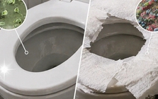 Có nên lót giấy vệ sinh lên bệ bồn cầu ở nhà vệ sinh công cộng? Đến giờ tôi mới hiểu mình toàn "làm sai"