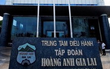 Chủ tịch Đoàn Nguyên Đức gom thêm cổ phiếu HAG